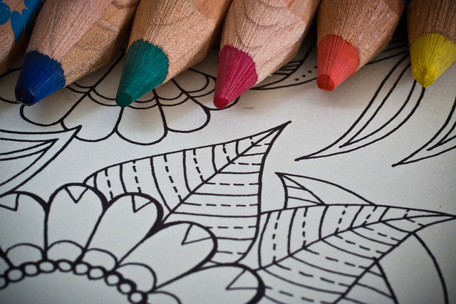 lapices  de colores